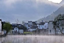 天目云露茶叶口碑评测